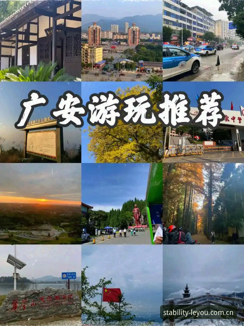 乐游体育稳服务安卓版行业解析：从赔率变动到数据整合的深度分析