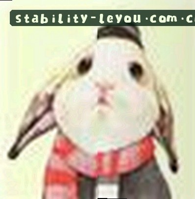 陈佳